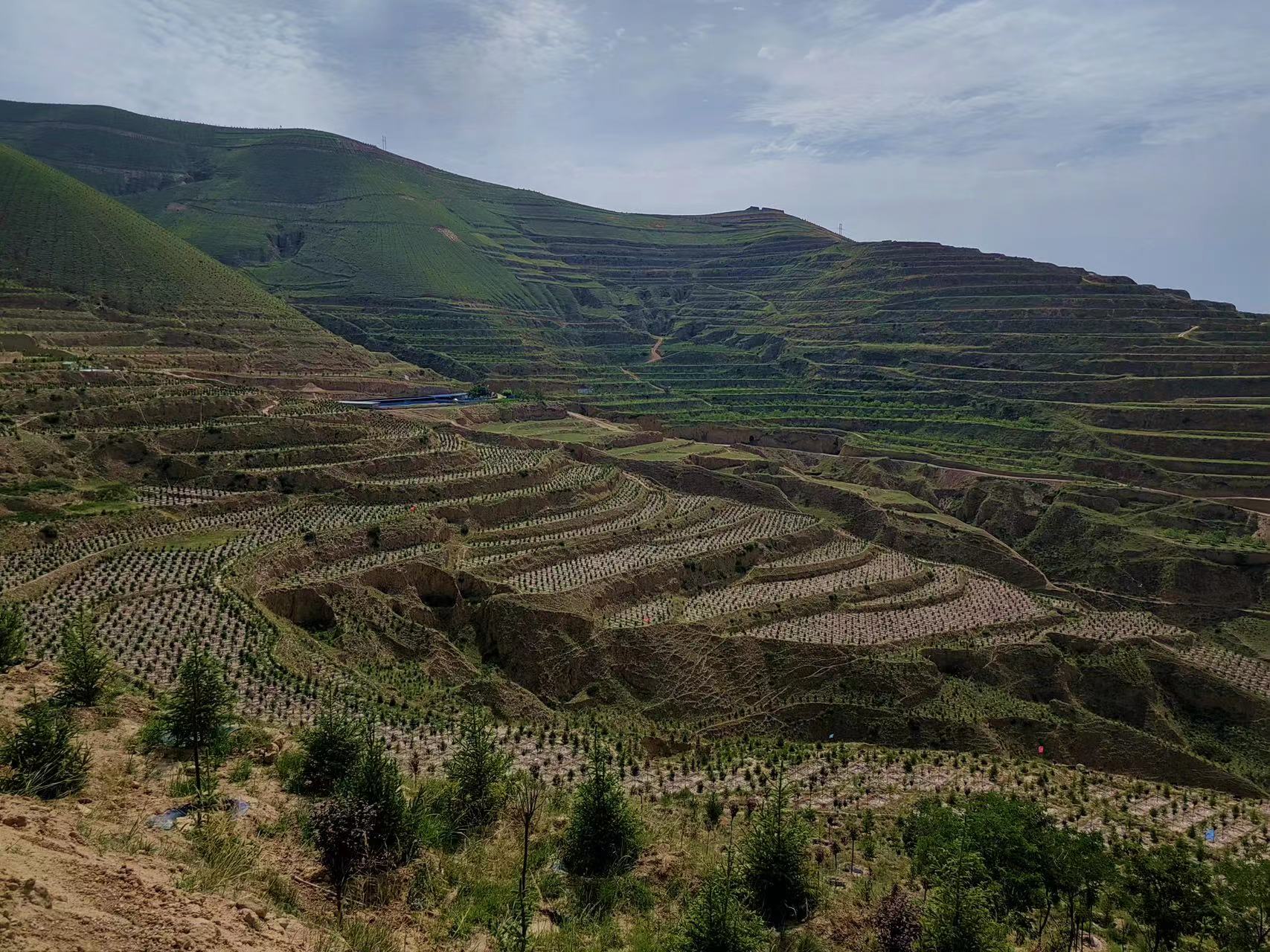 1688814069676086250.jpg bc2093ae2ae54822a42f32cf181932a.jpg