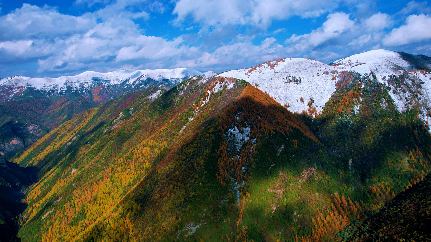 滩歌镇卧牛山森林公园1_副本
