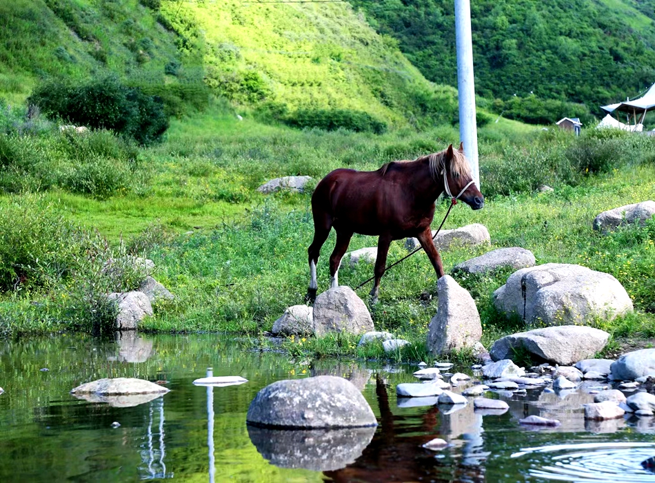 微信图片_20240625083910