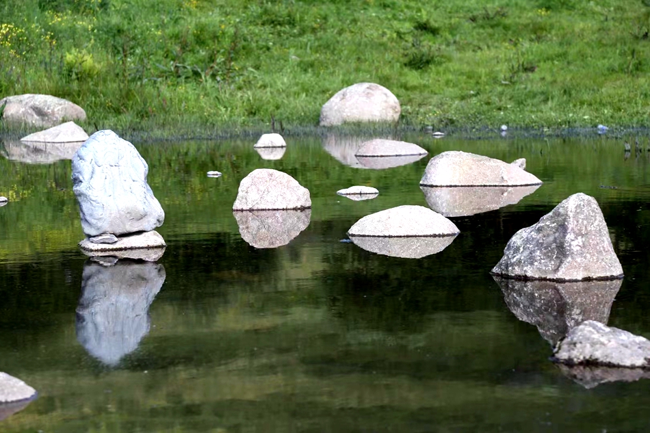 微信图片_20240625083919