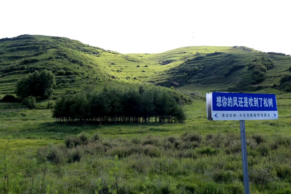 微信图片_20240625083906