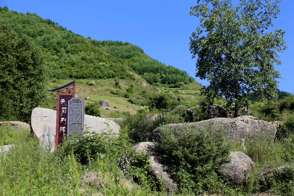 微信图片_20240625083915