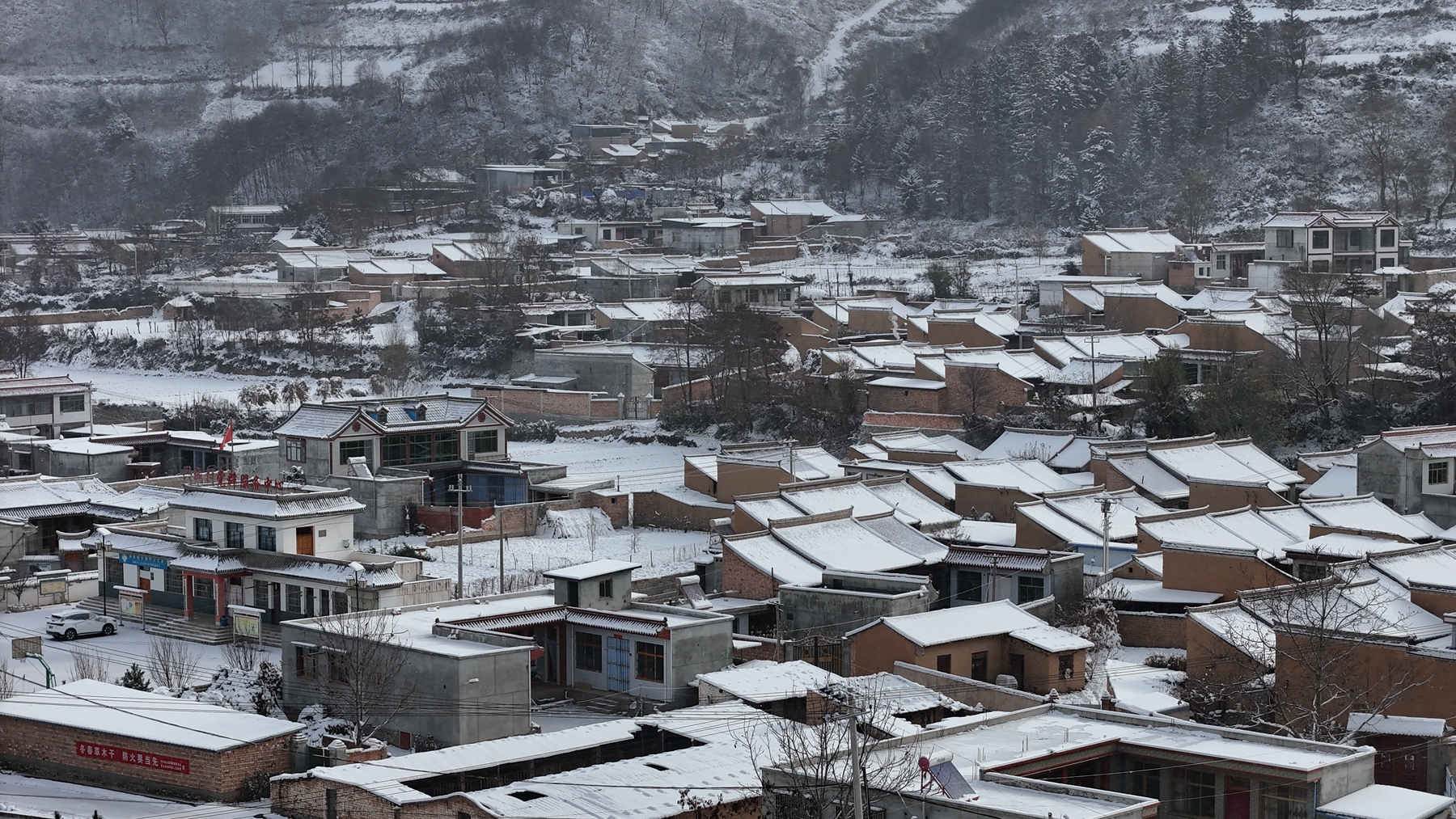 微信图片_20241126093032_副本