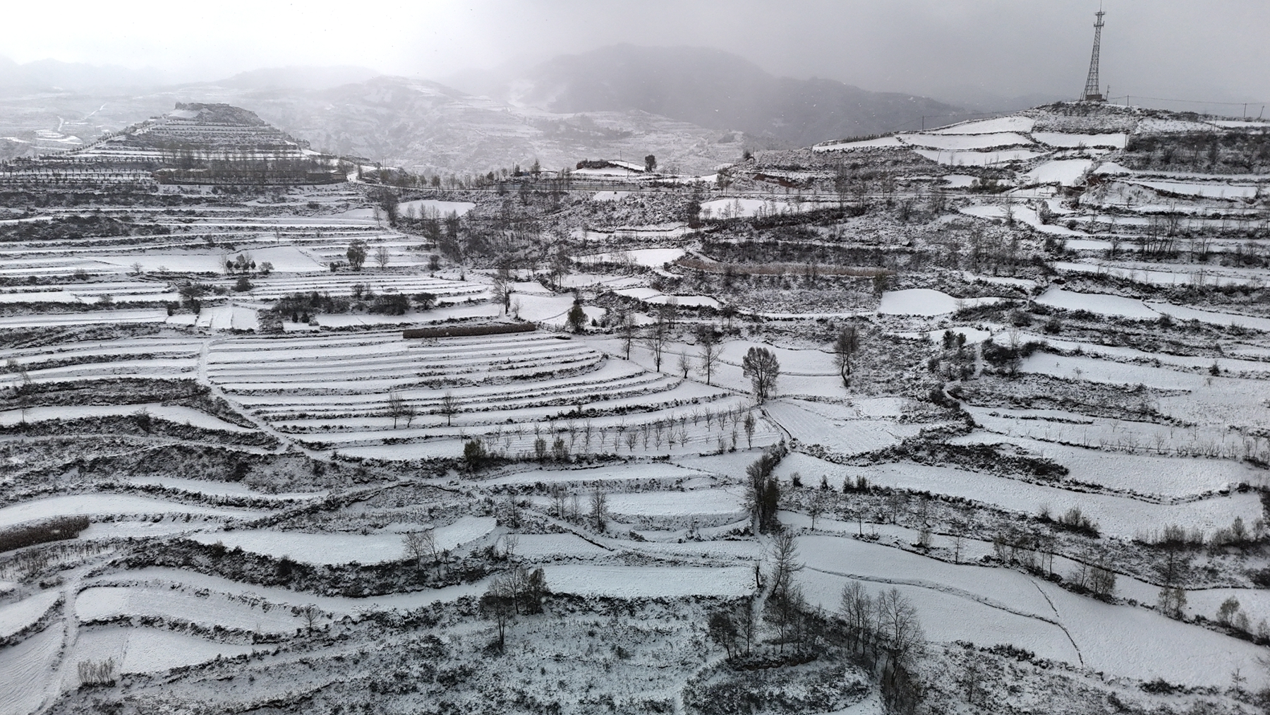 微信图片_20241126093043_副本