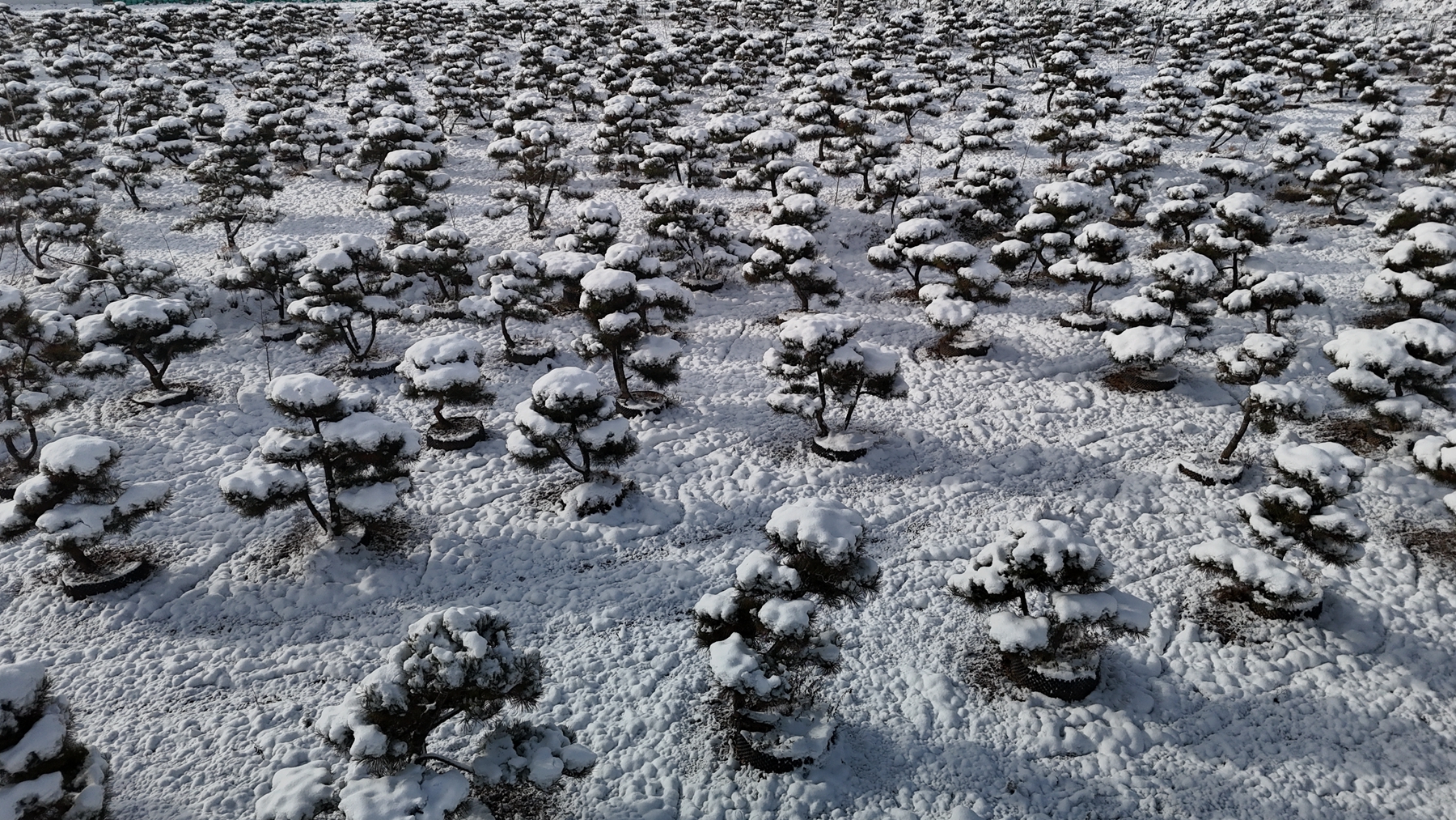 微信图片_20241126093057_副本