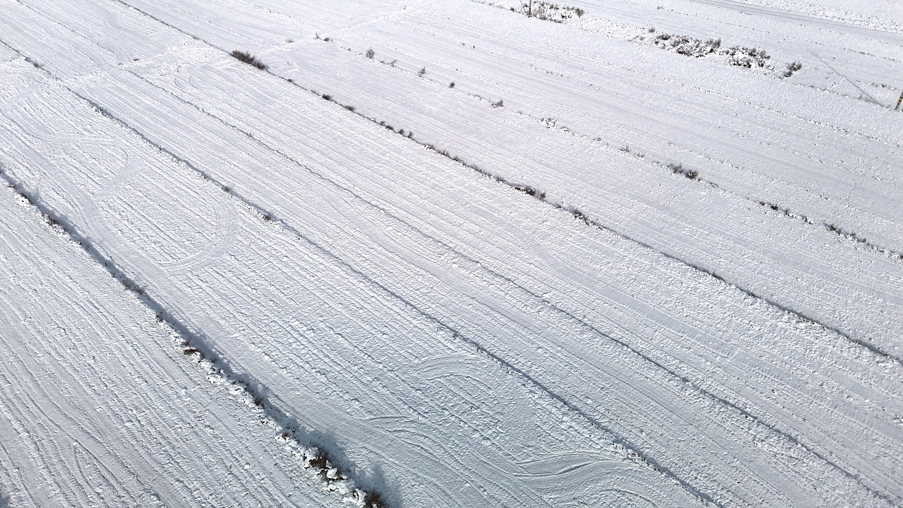 微信图片_20241126093038_副本