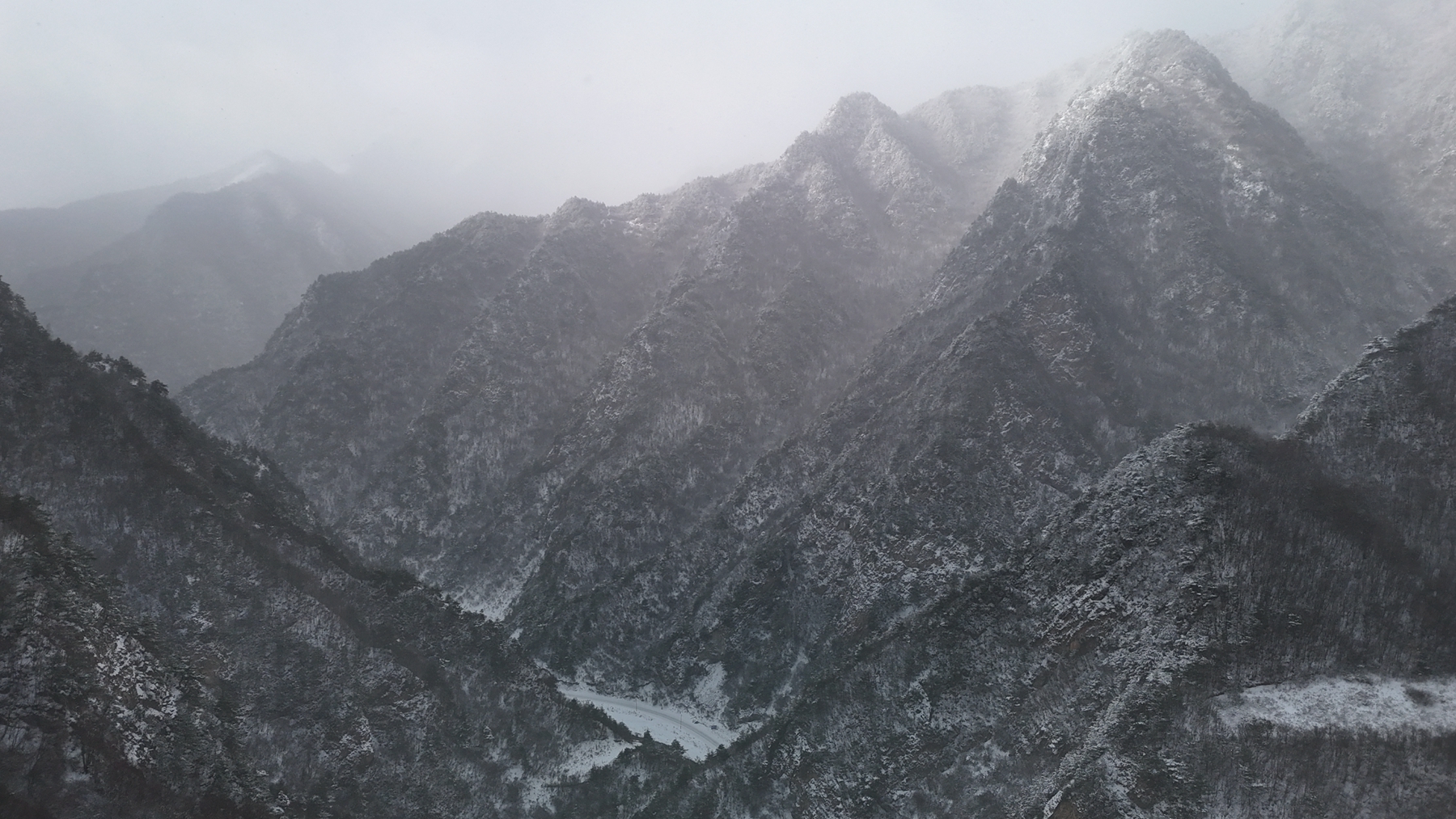 微信图片_20241126092943_副本