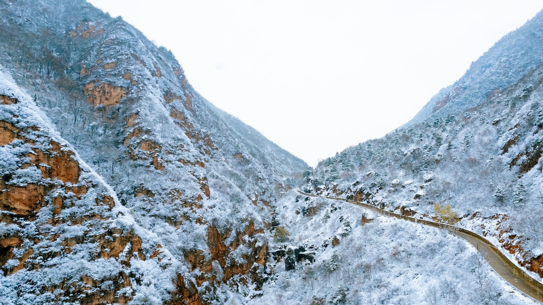 微信图片_20241126160720_副本