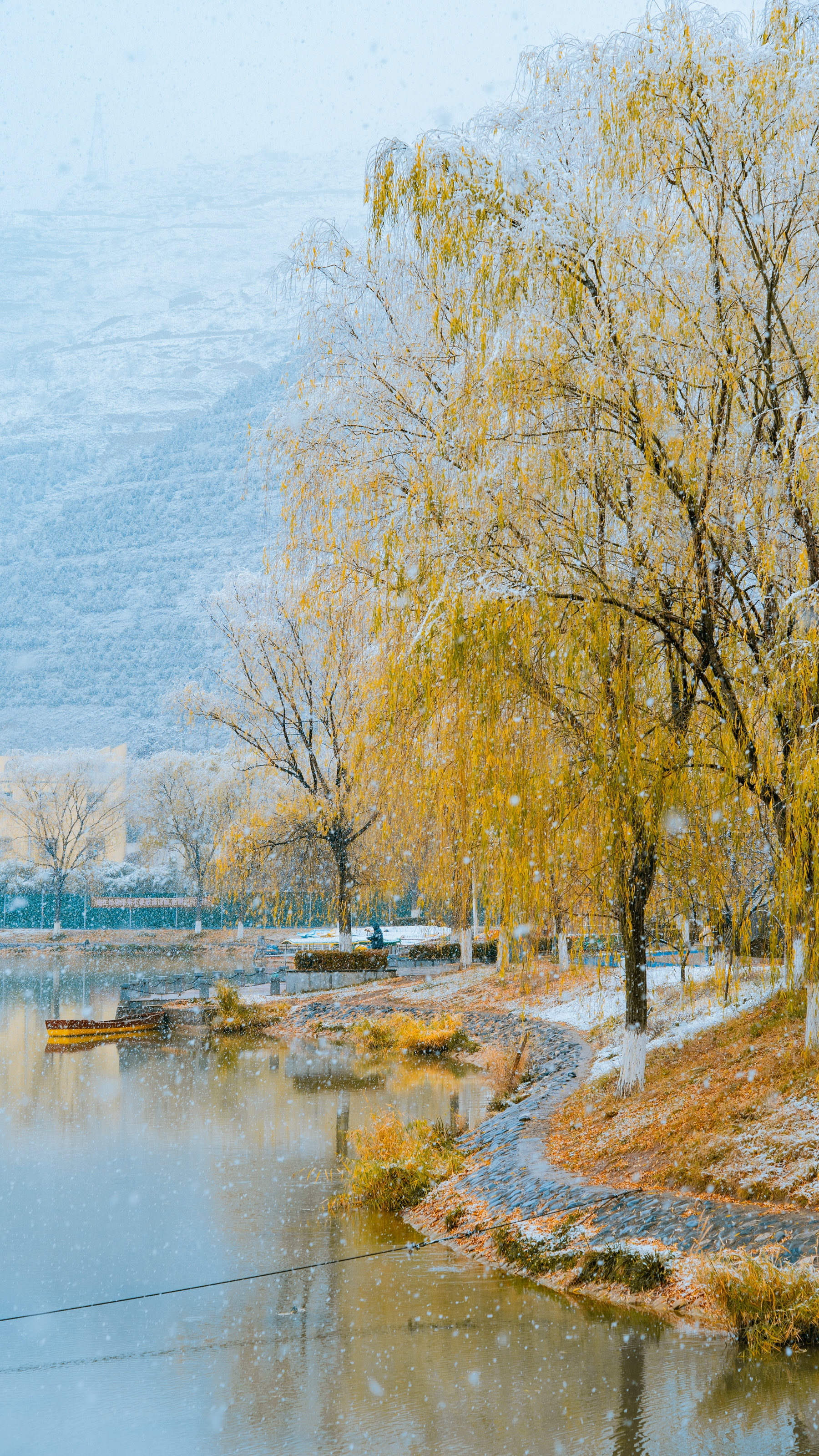 微信图片_20241126160809_副本