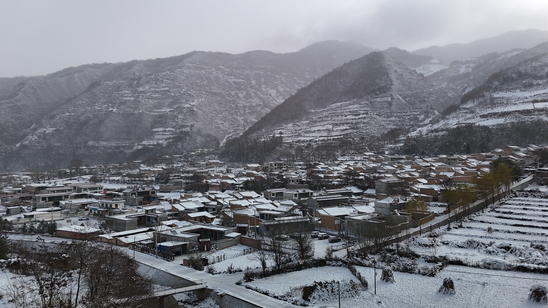 微信图片_20241126093027_副本