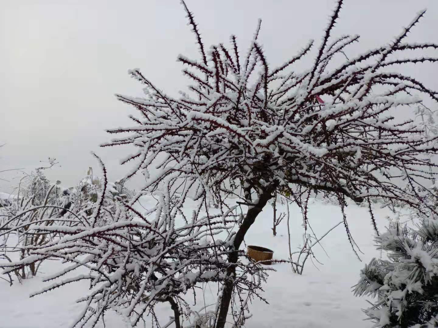 微信图片_20201207142719_副本