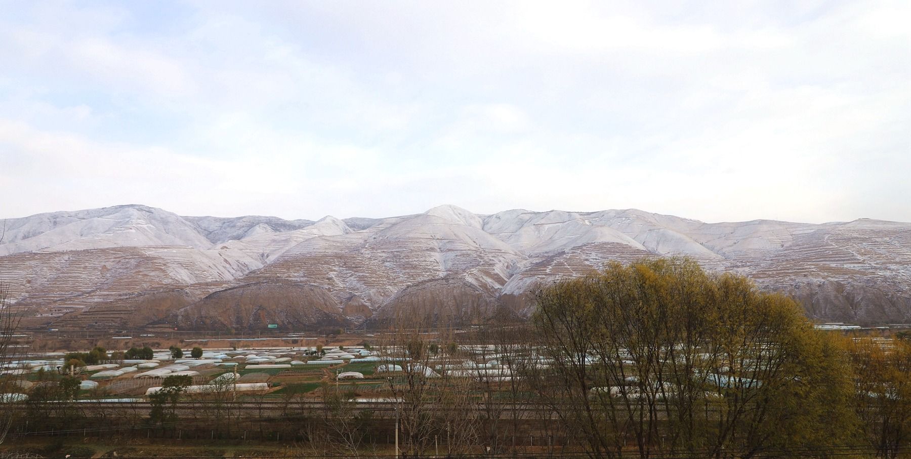 IMG_9826_副本 IMG_9826_副本