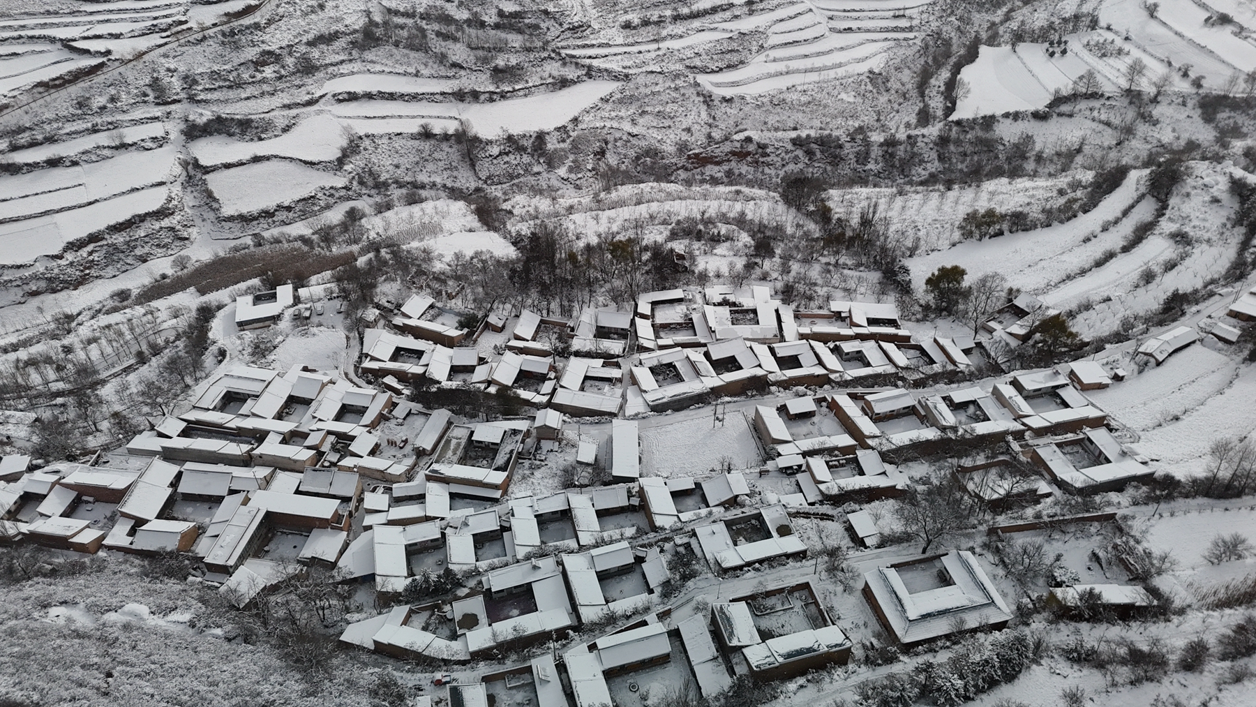 微信图片_20241126093102_副本