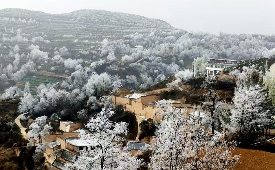 1732606235017061877 1732606235017061877