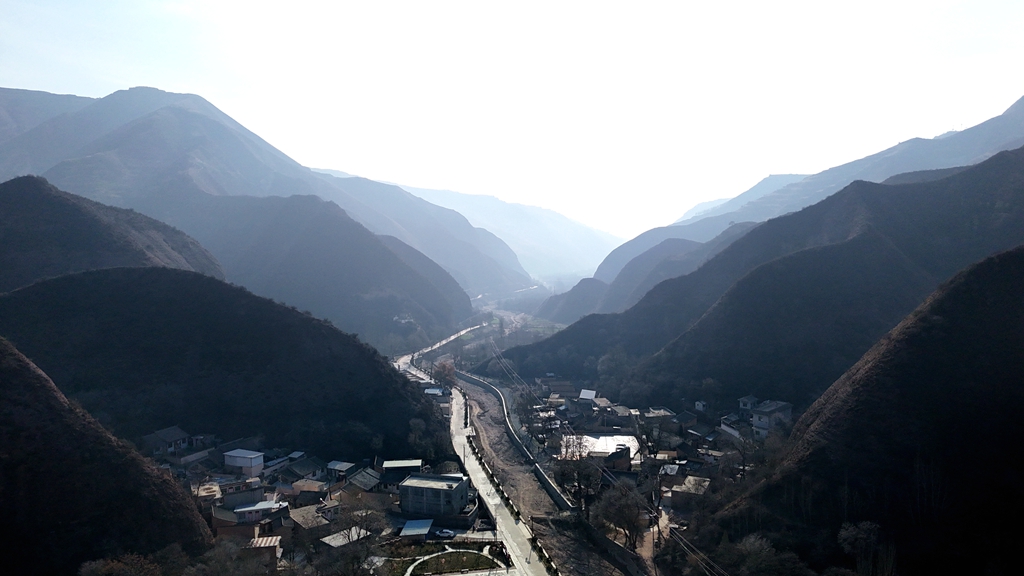 微信图片_20241209101341_副本