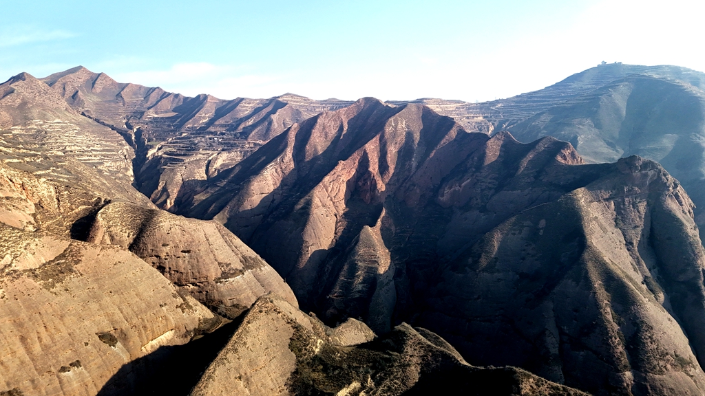 微信图片_20241209101325_副本