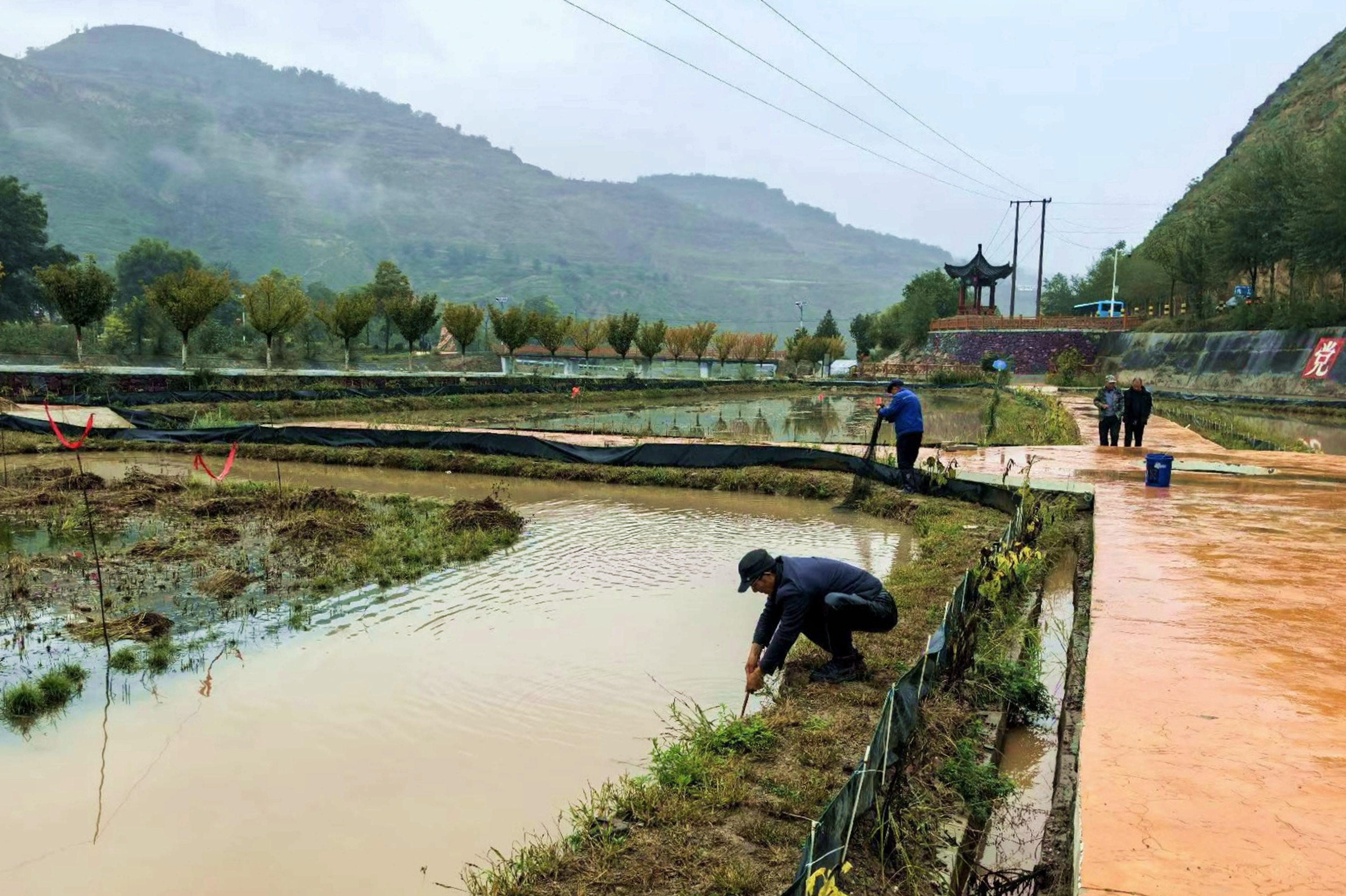 微信图片_20251023091338_743_386_副本