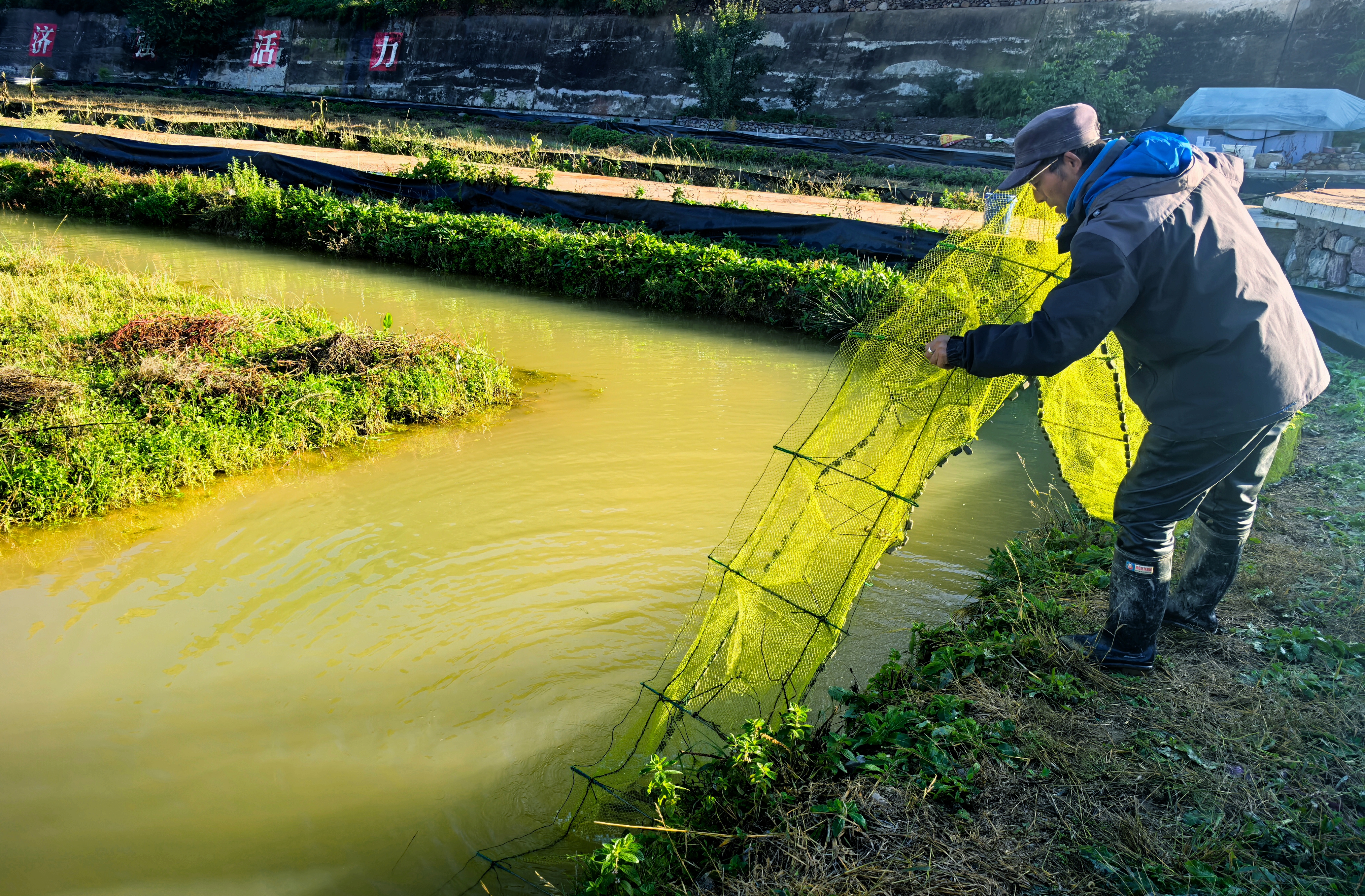 微信图片_20251023091434_747_386_副本