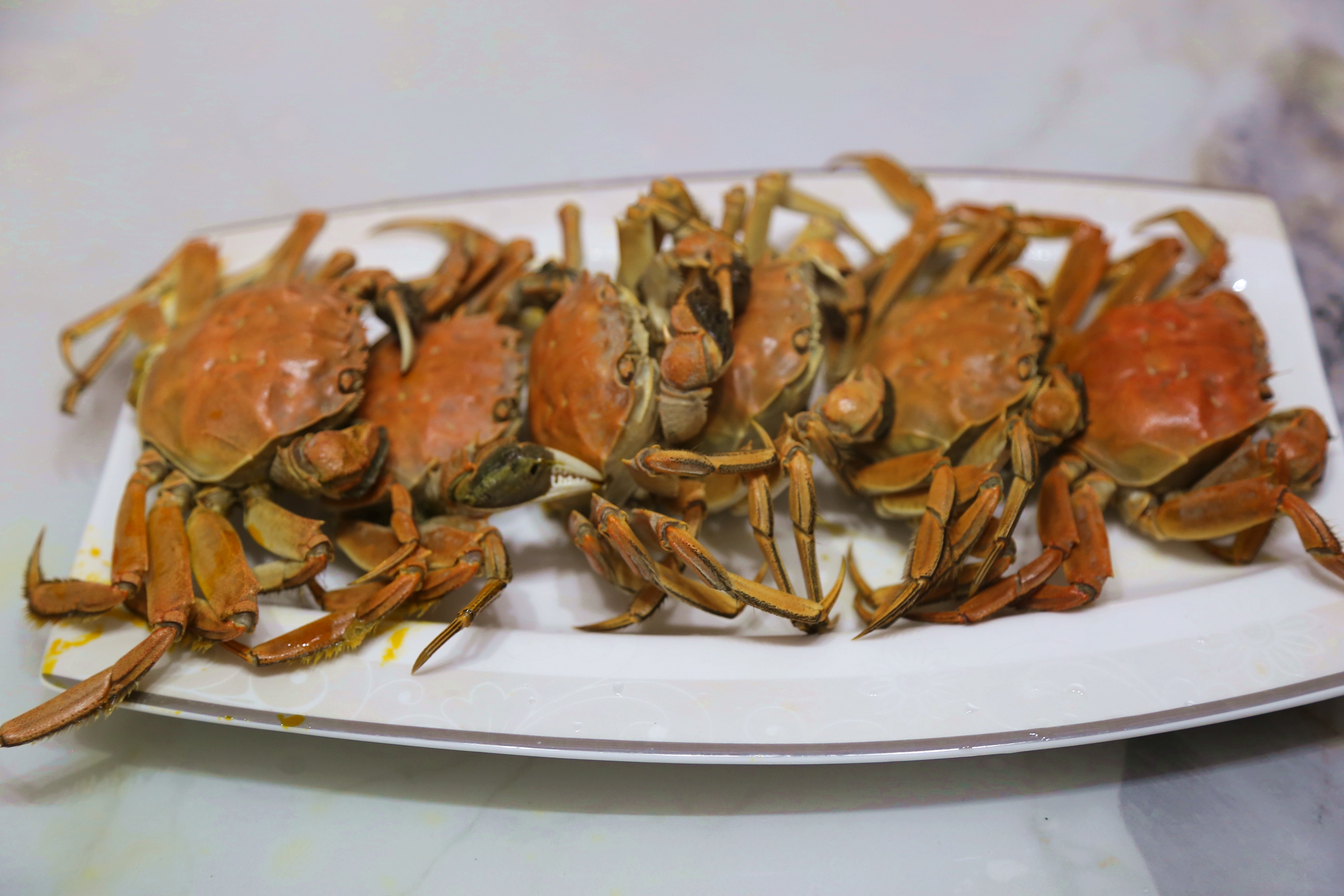 微信图片_20251023091341_744_386_副本