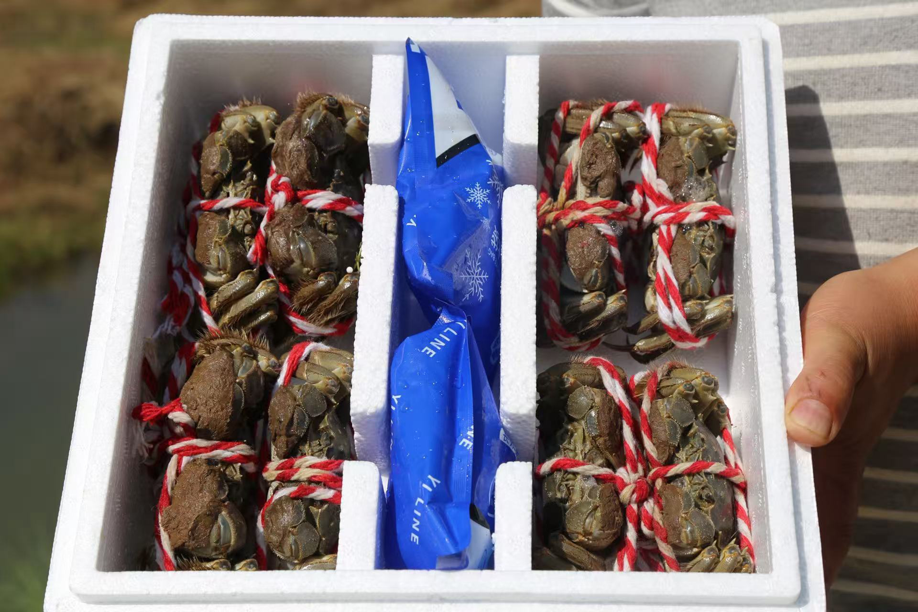 微信图片_20251023091336_742_386_副本