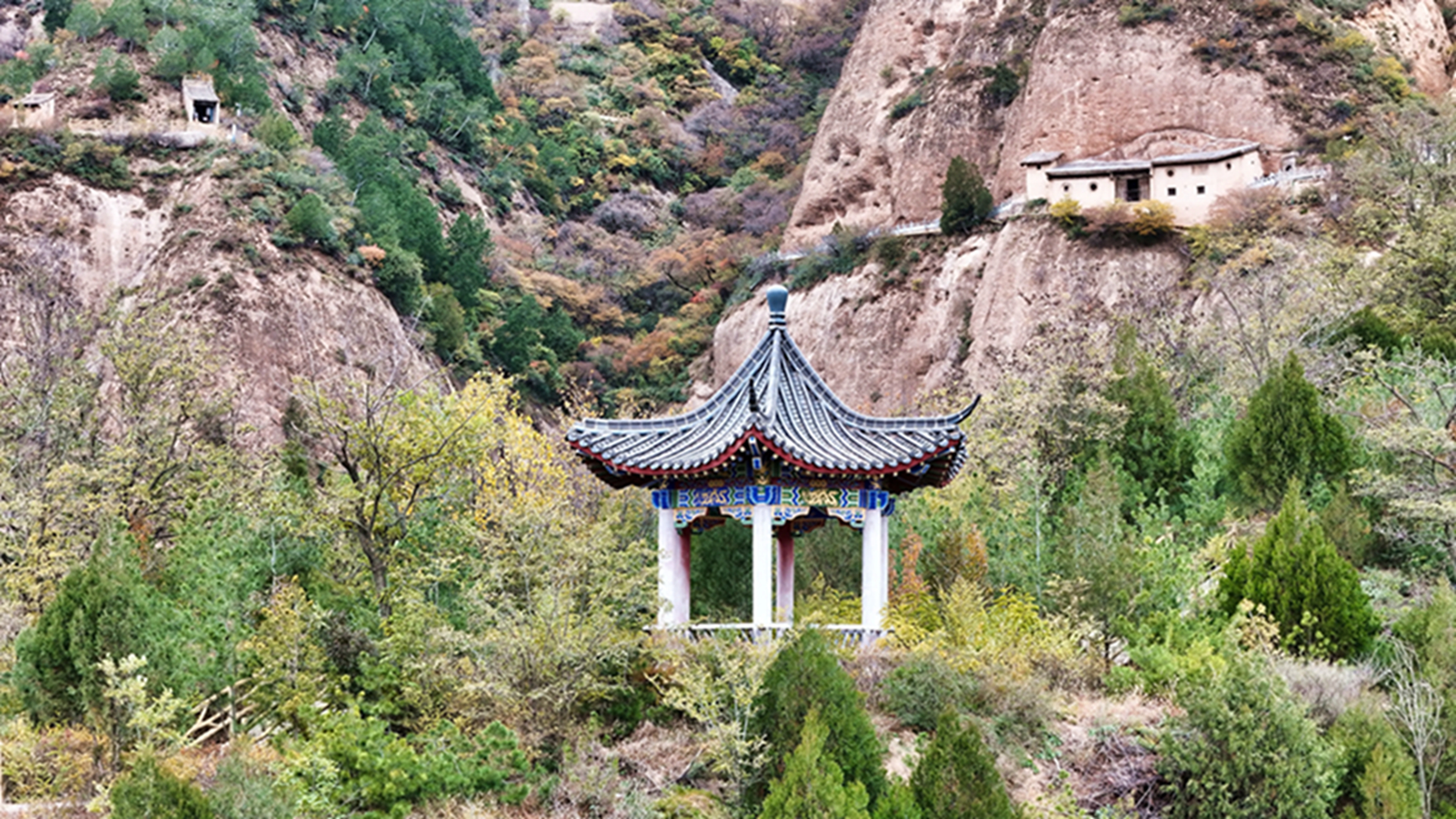 DJI_20251105142625_0558_D