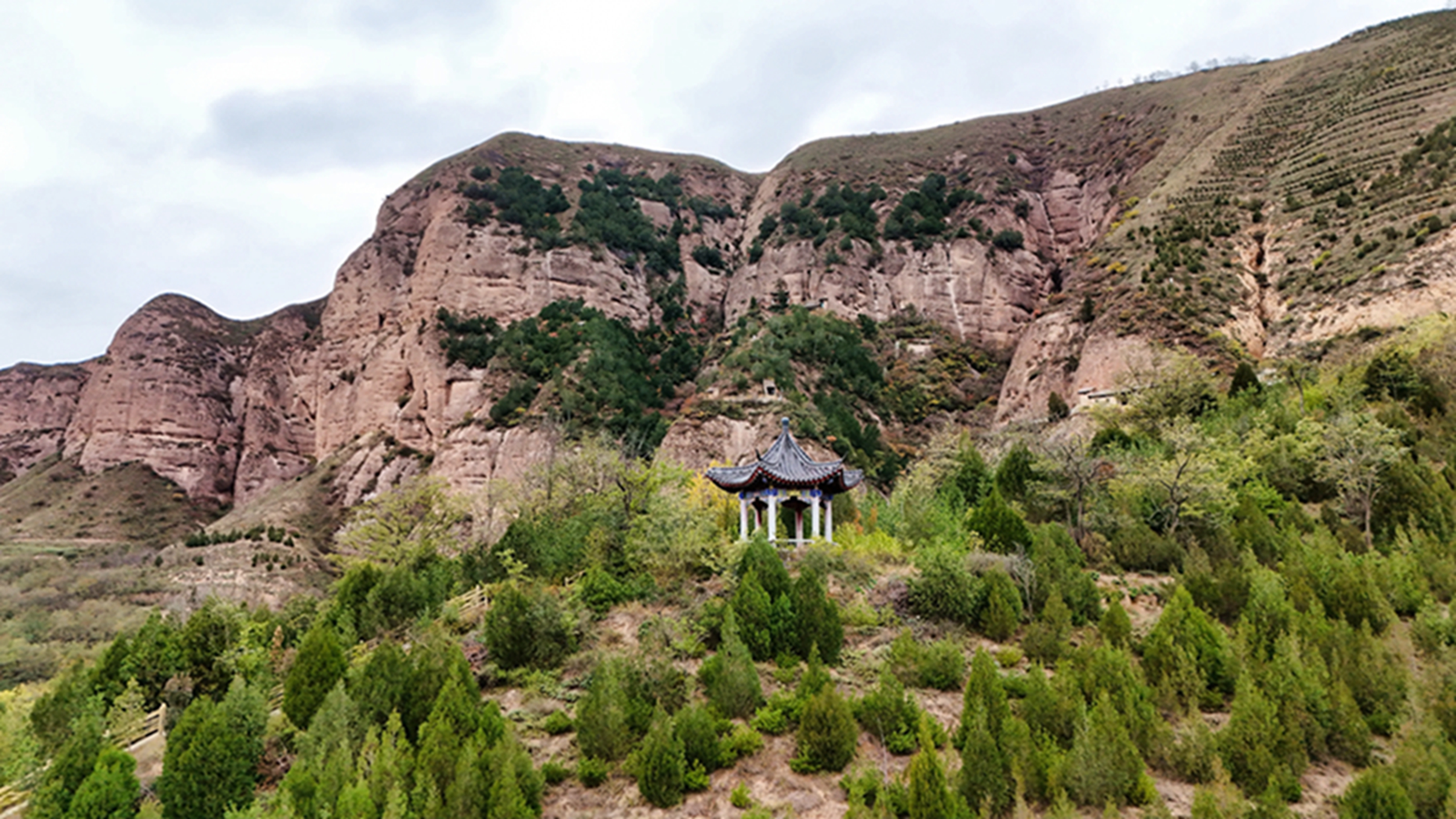 DJI_20251105142707_0560_D