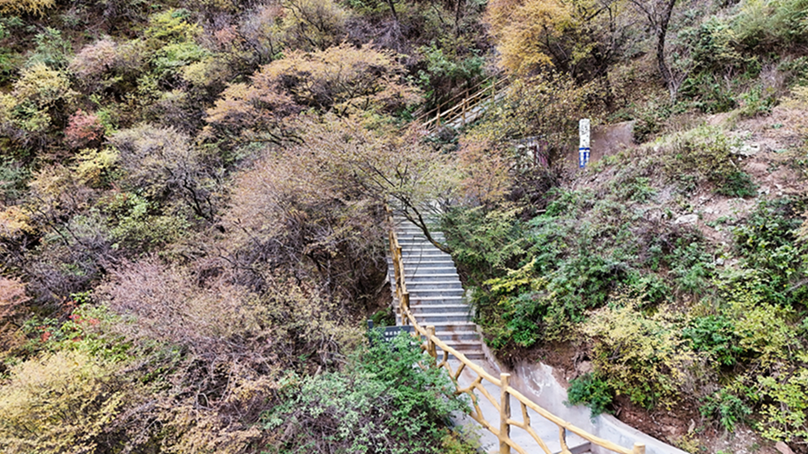 DJI_20251105143755_0580_D