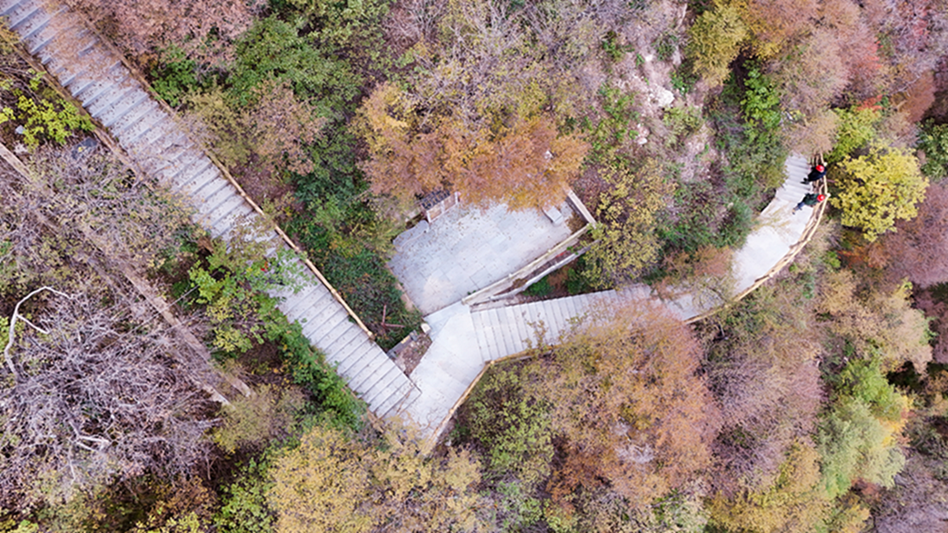 DJI_20251105144239_0597_D