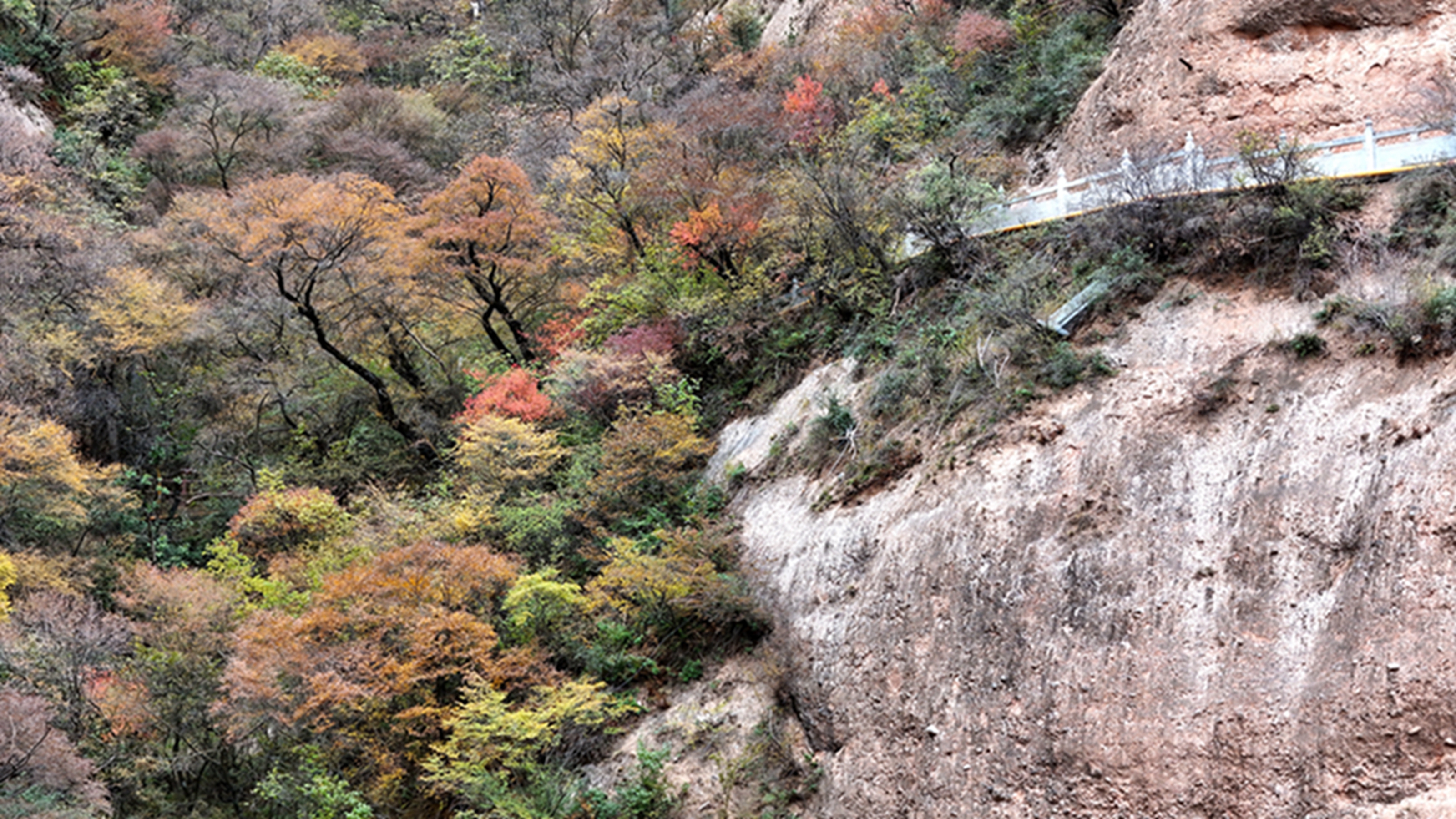 DJI_20251105144611_0604_D