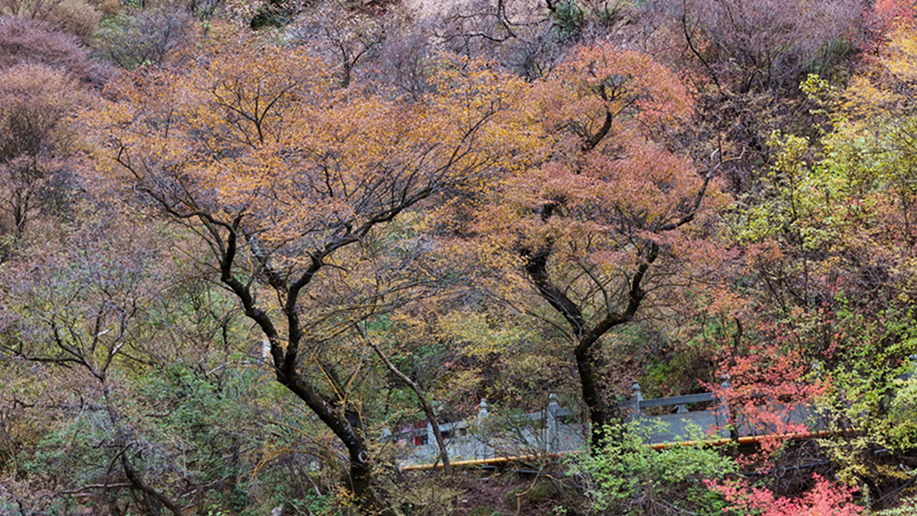 DJI_20251105144709_0609_D