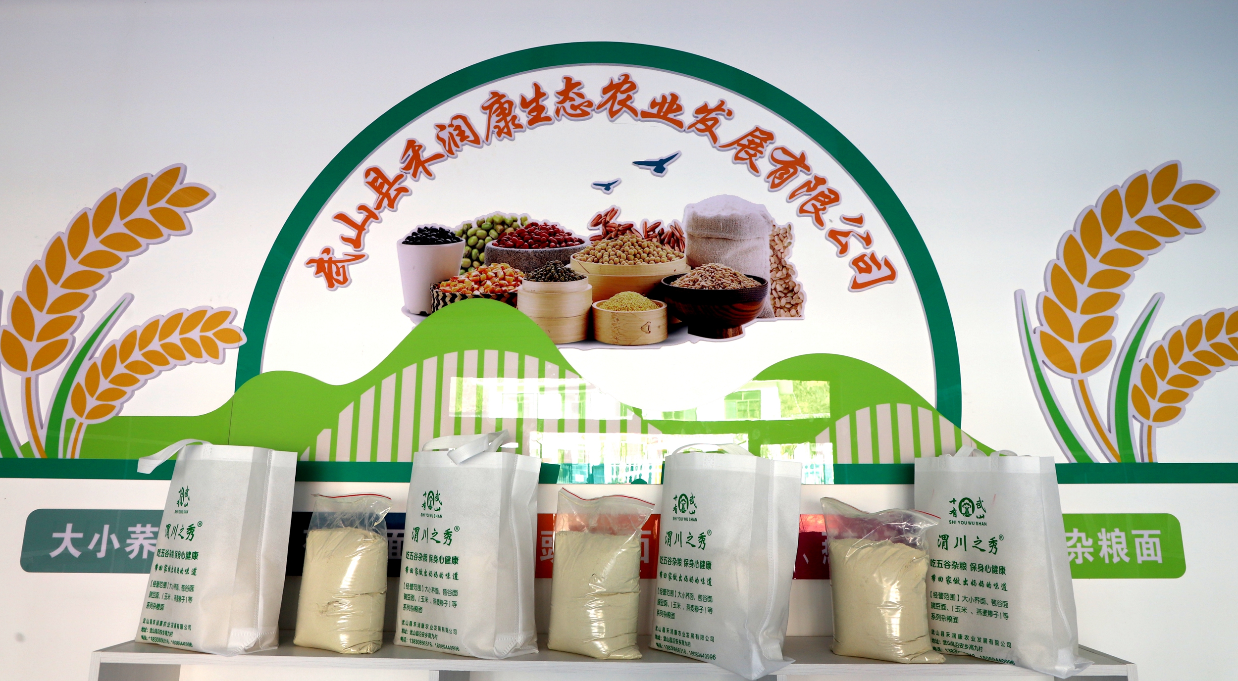 IMG_7453_副本_副本