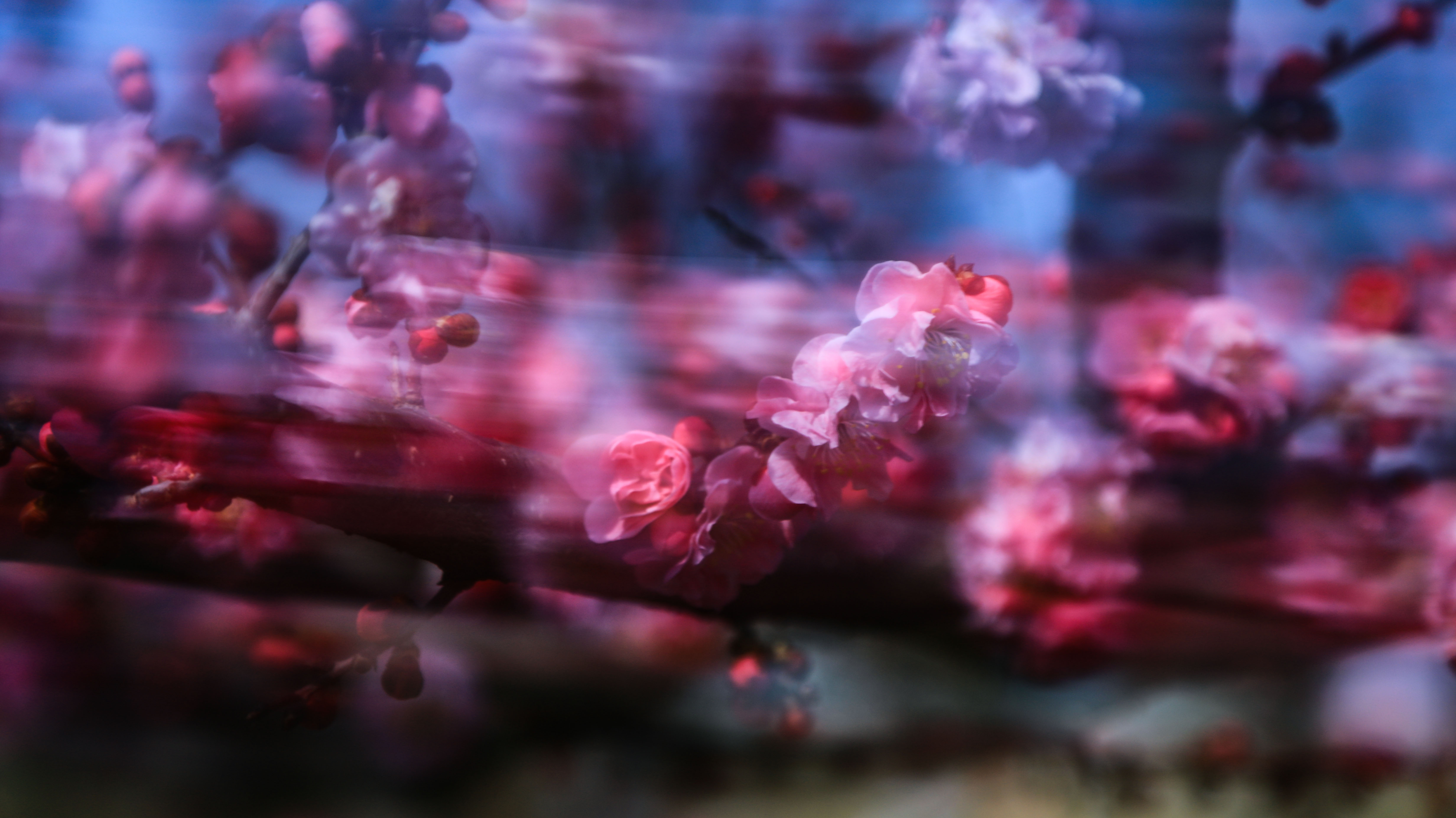 微信图片_20260303180215_104_33