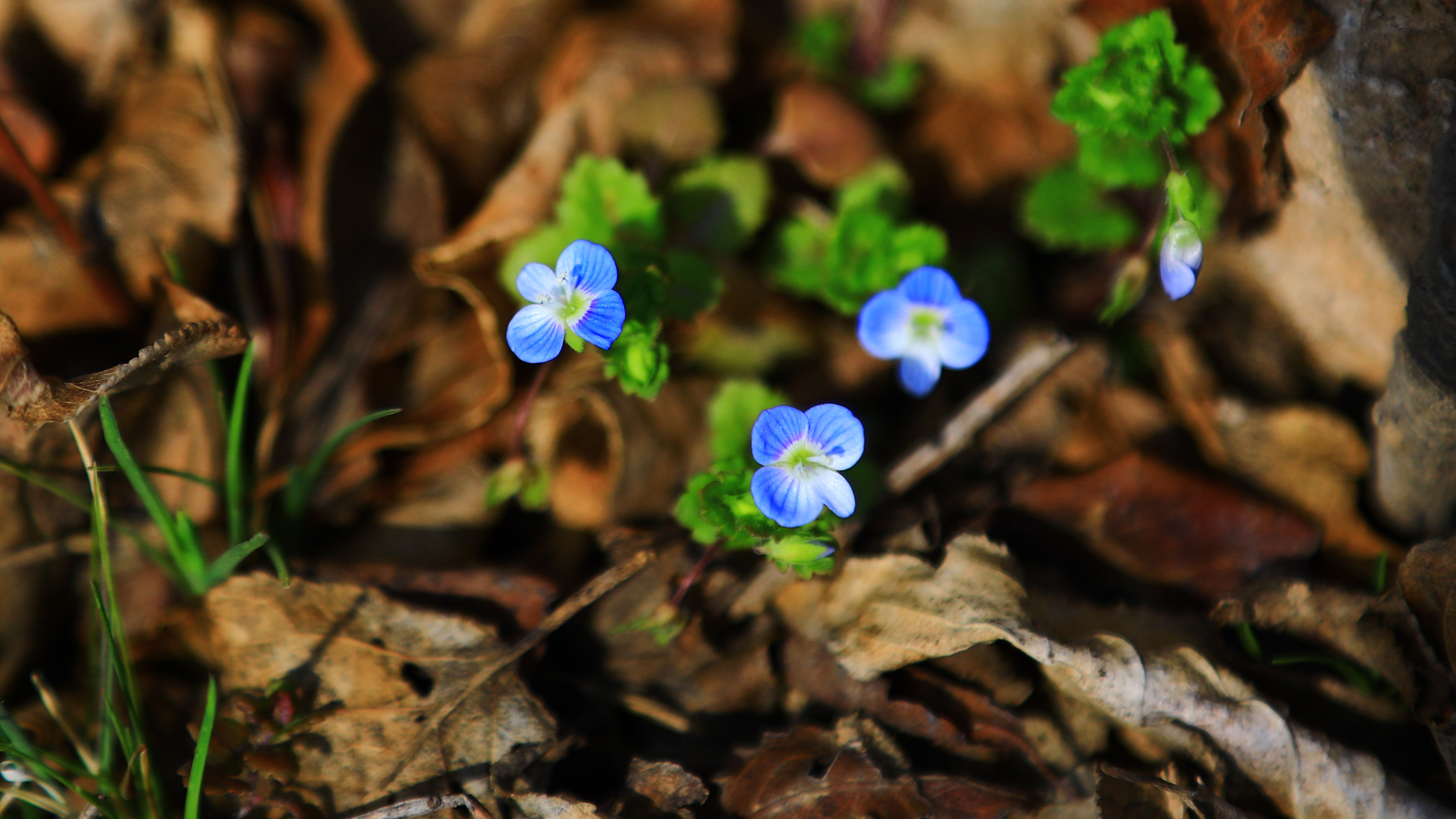 微信图片_20260303180304_106_33