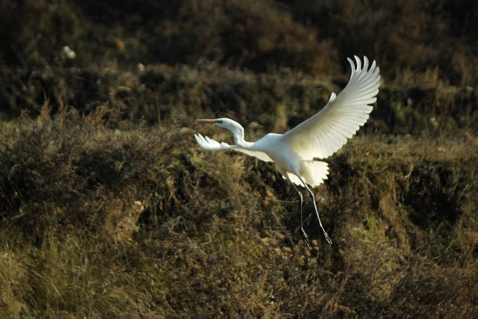 微信图片_20260321183025_280_2