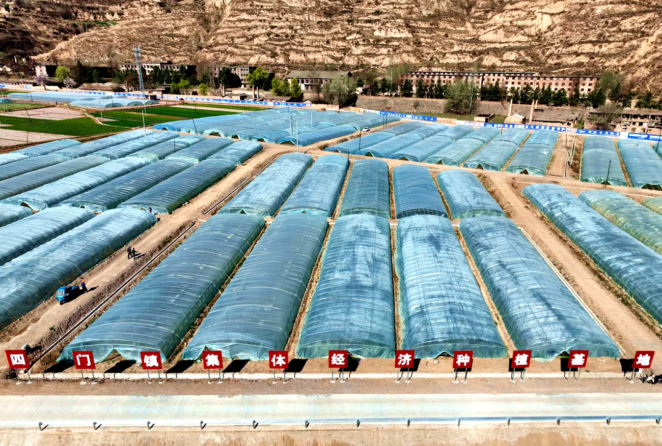 微信图片_20260410142353_169_14