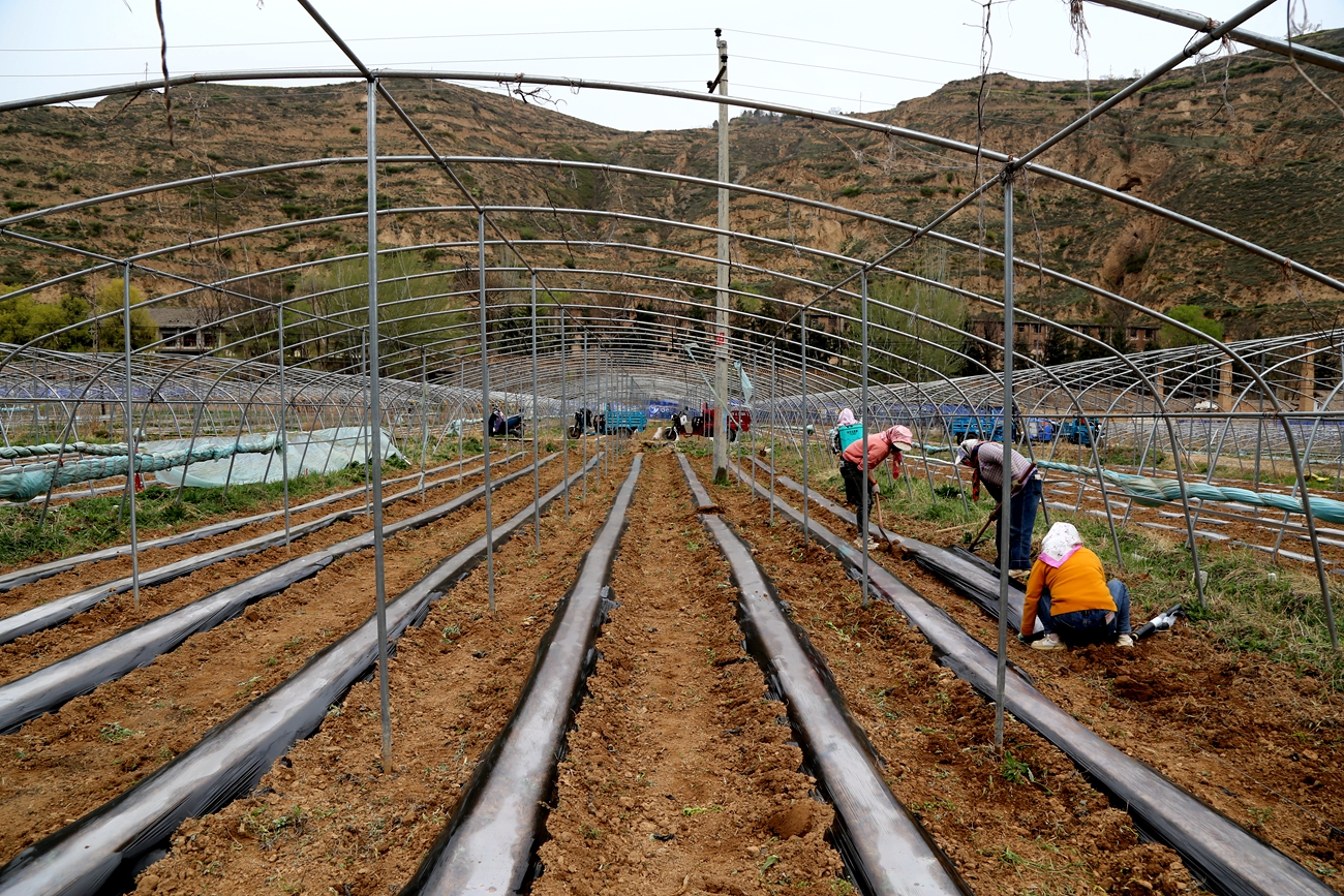 微信图片_20260410142416_173_14