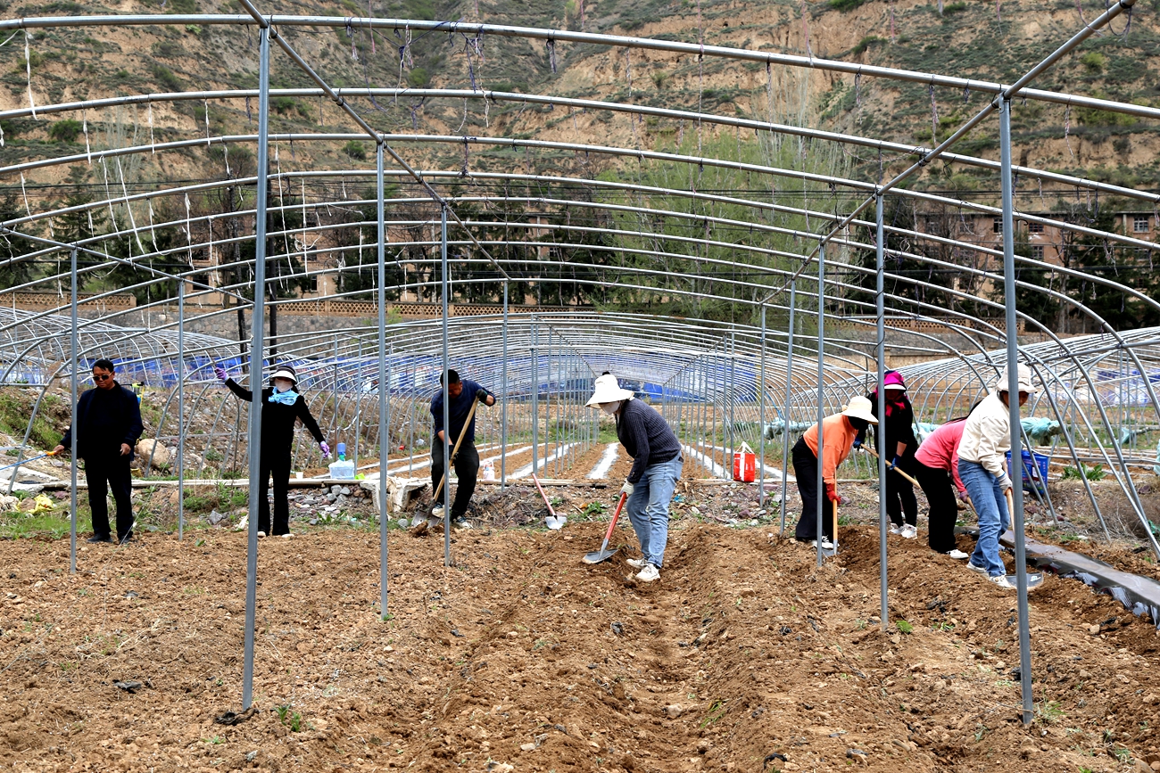 微信图片_20260410142355_170_14