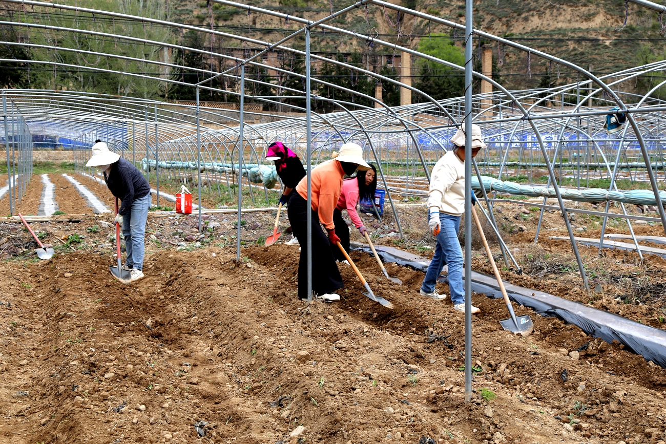 微信图片_20260410142406_171_14