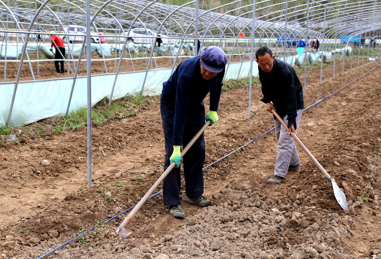 微信图片_20260410142634_179_14