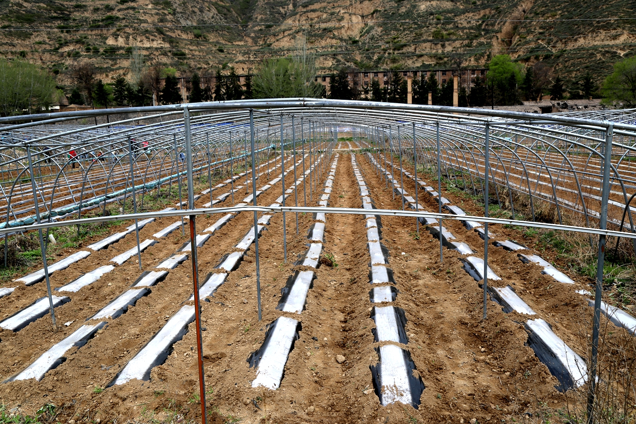 微信图片_20260410142433_177_14