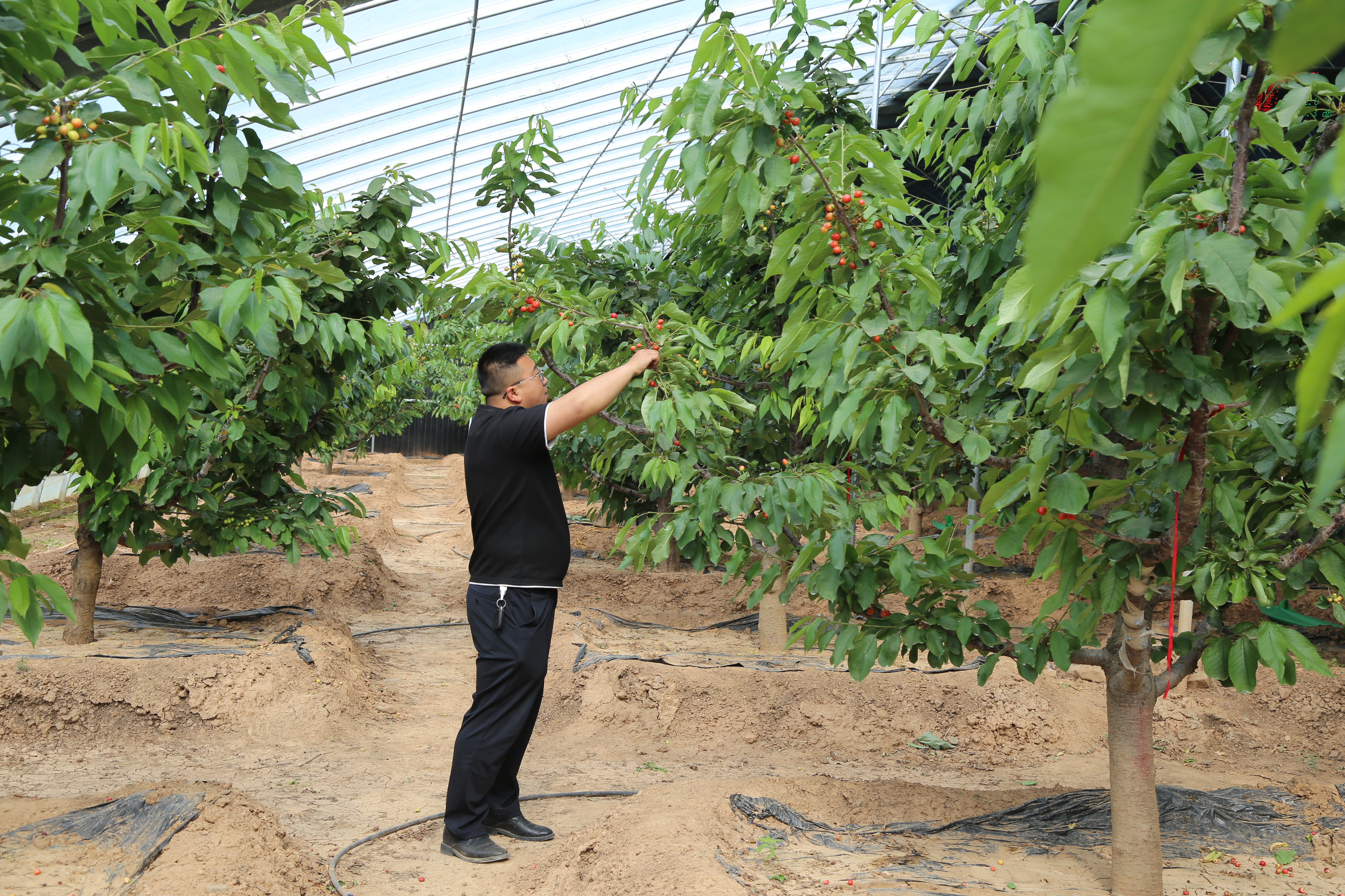 微信图片_20260417095241_58_4