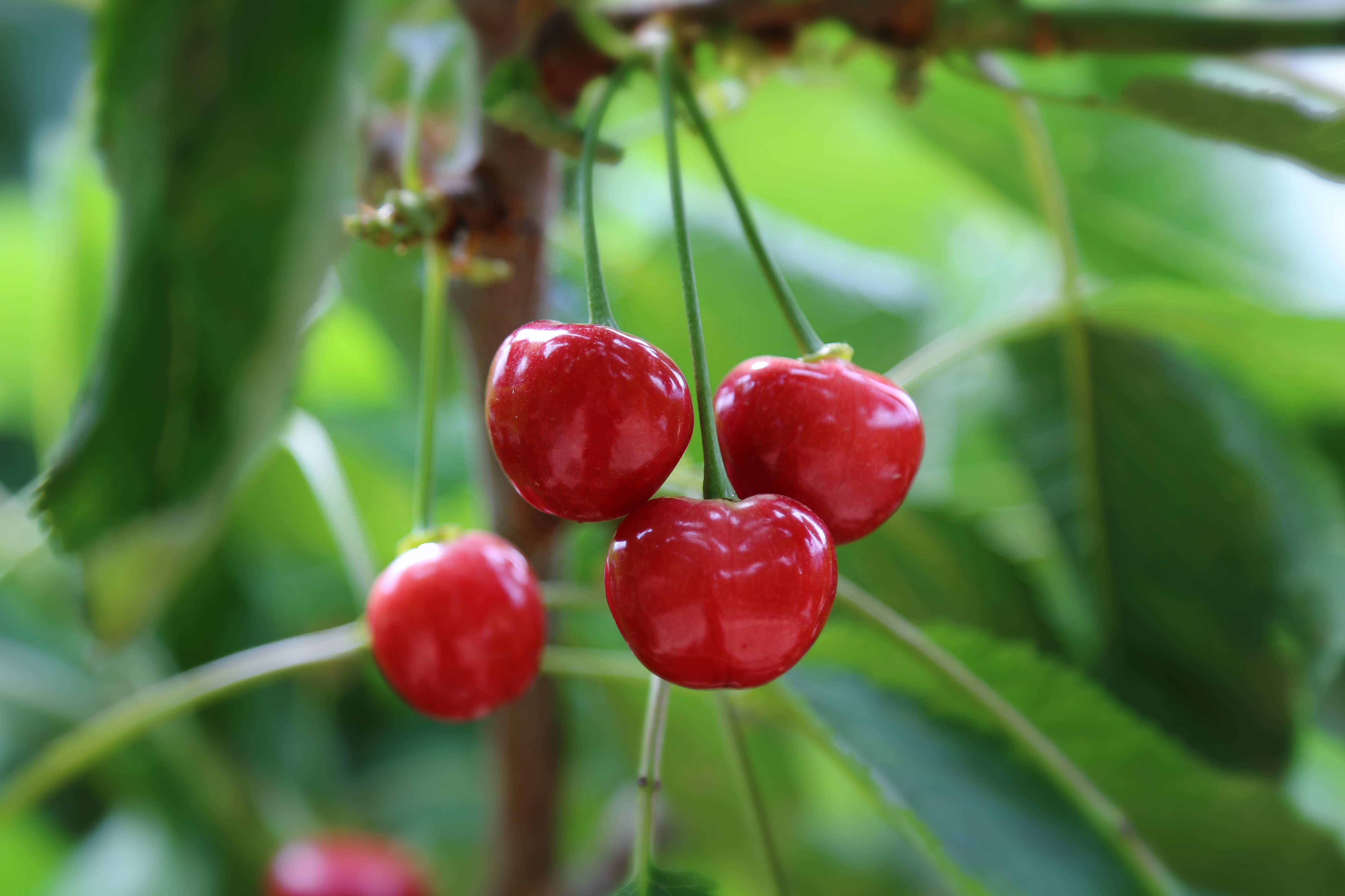 微信图片_20260417095302_59_4