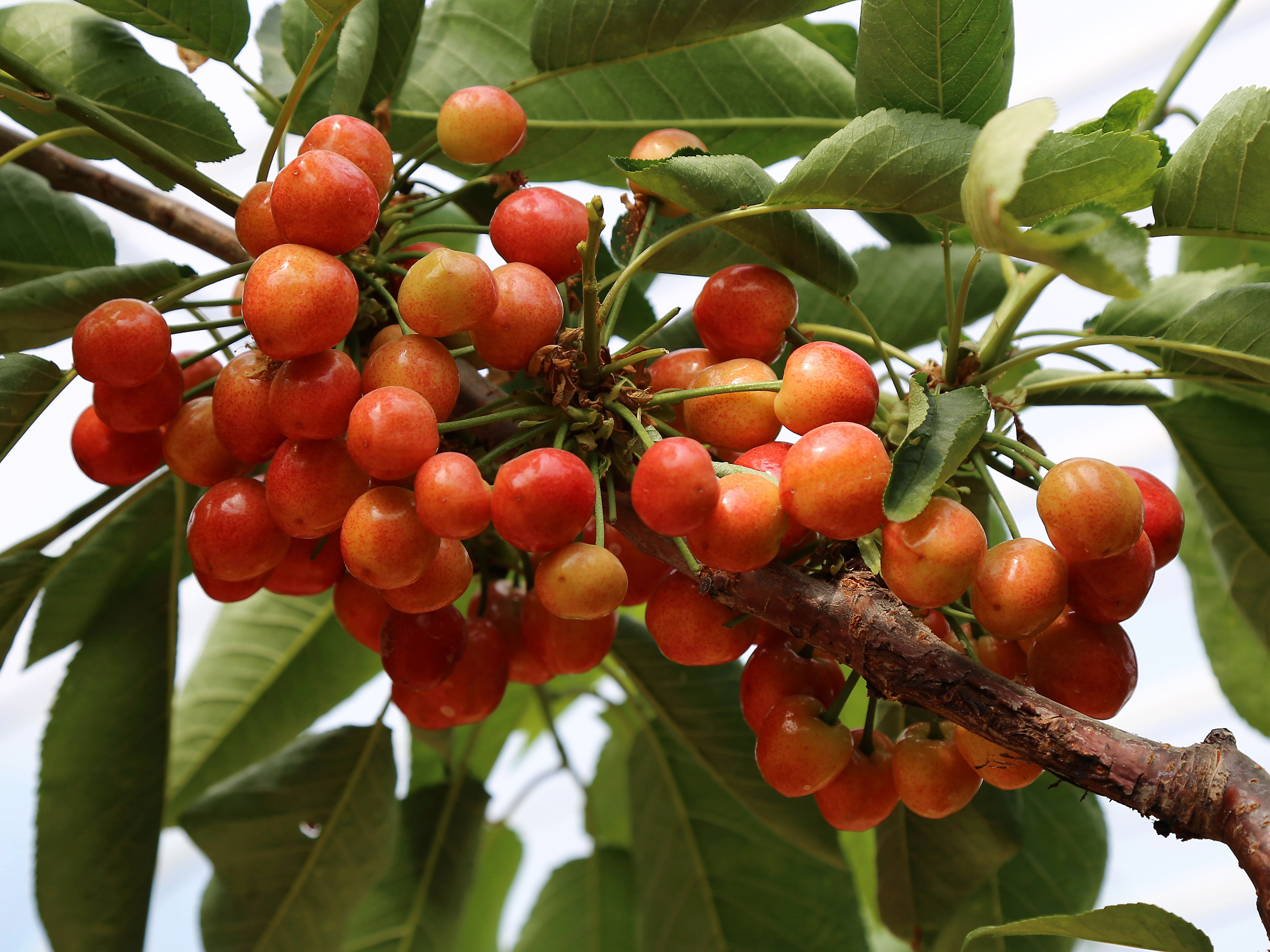 微信图片_20260417095341_61_4