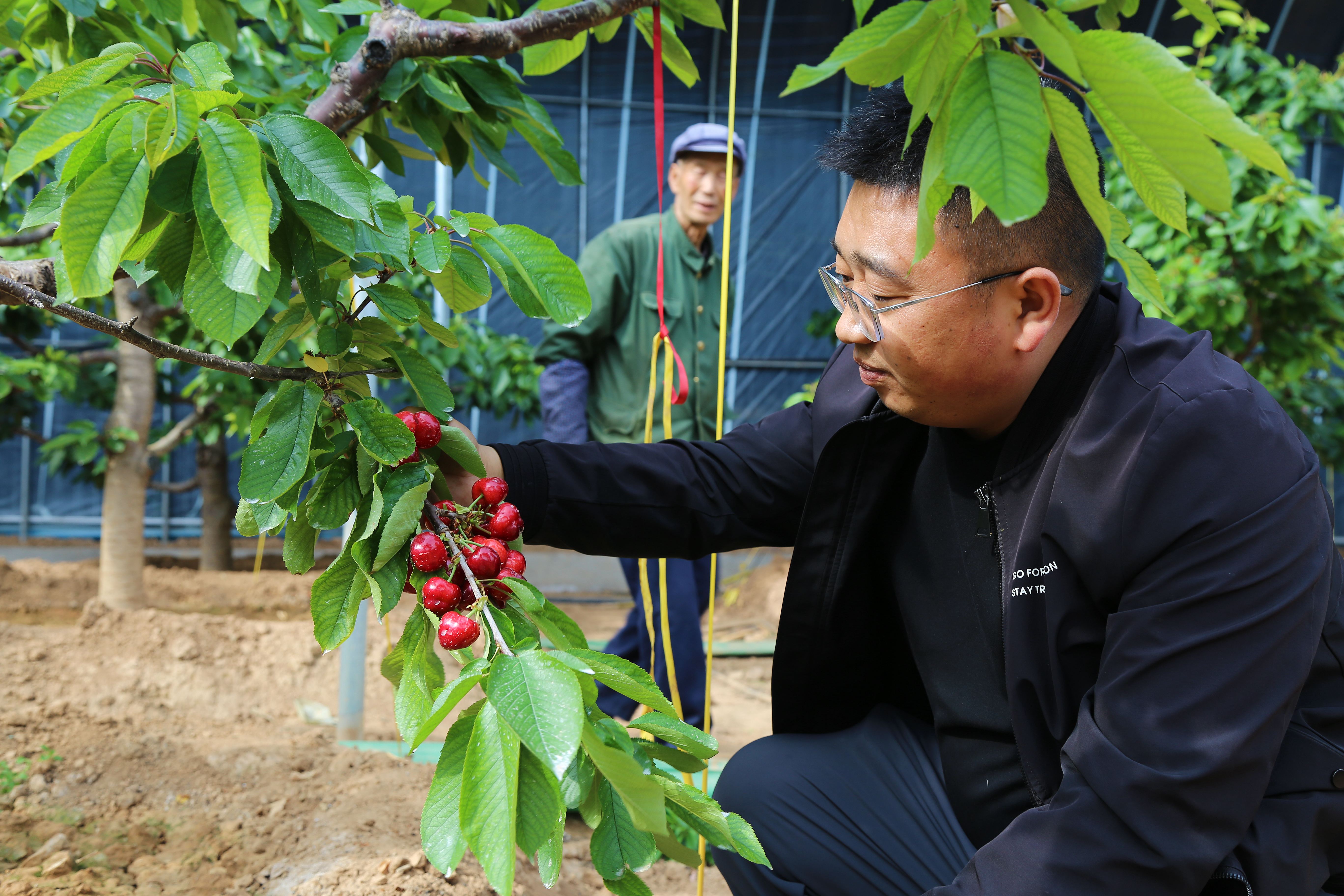 微信图片_20260417095639_64_4