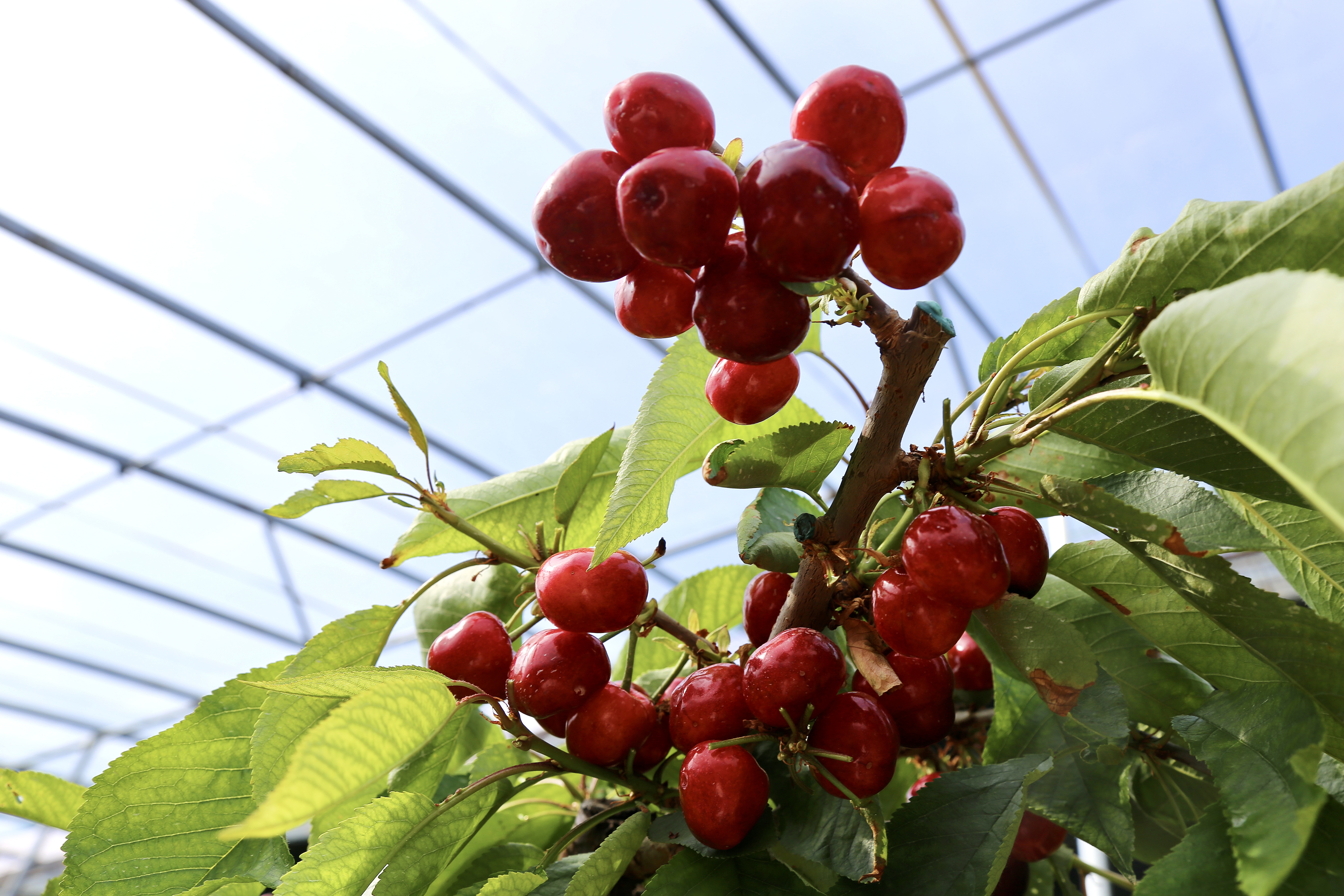 微信图片_20260417095400_63_4